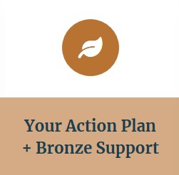 Your Action Plan Bronze support