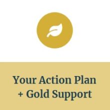 Sustainability Support Package – Gold
