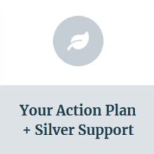 Sustainability Support Package – Silver