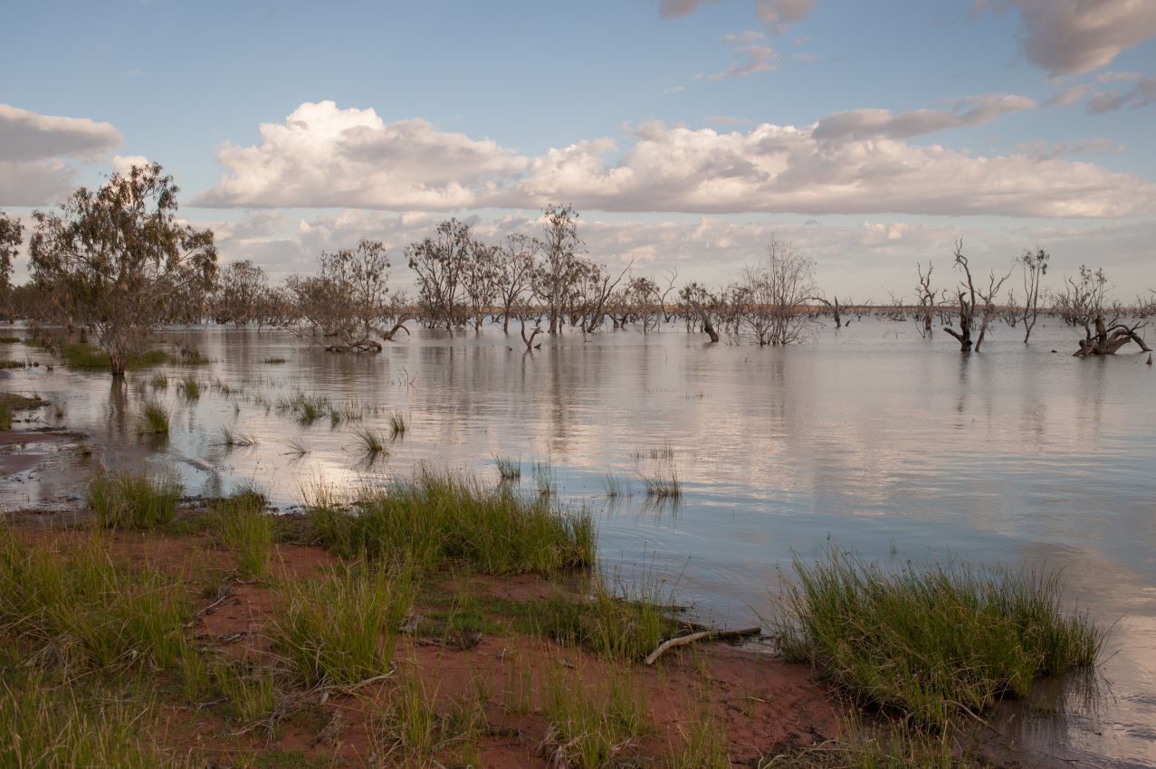 Introductory Water Stewardship Guidelines for the Red Meat Processors