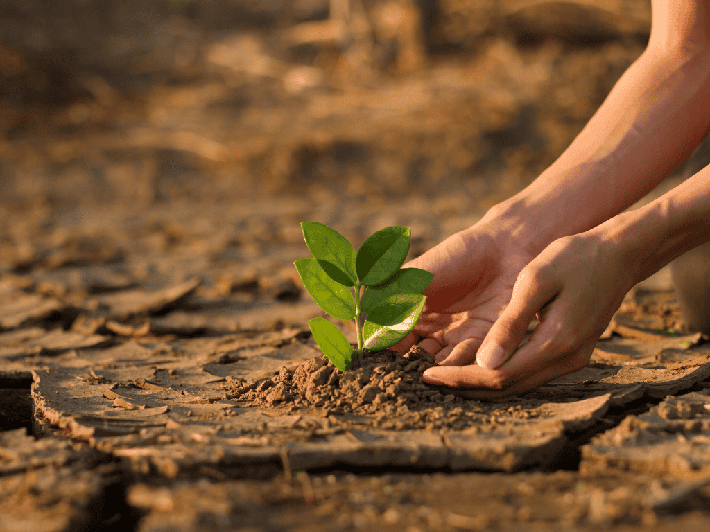 Climate Risk vs Climate Resilience: What Organisations Must Understand