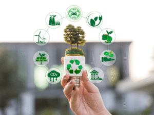 Sustainable Procurement: Building an Ethical and Green Supply Chain